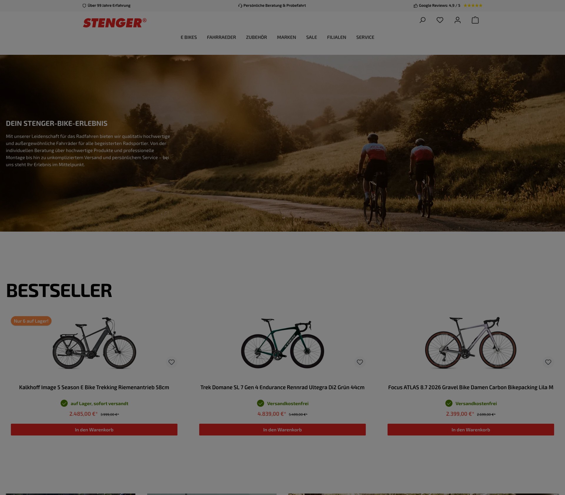 Stenger Bike - image 2