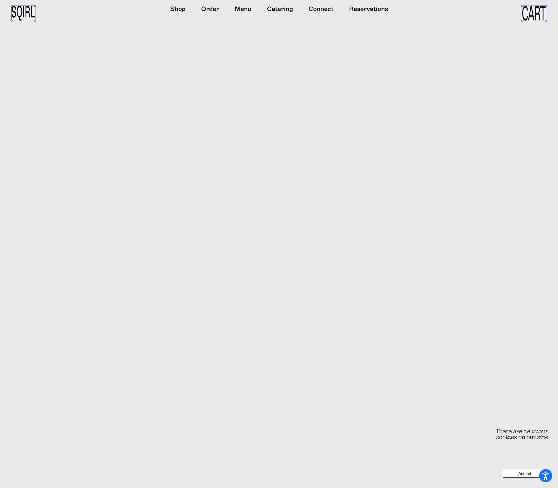 SQIRL - image 3