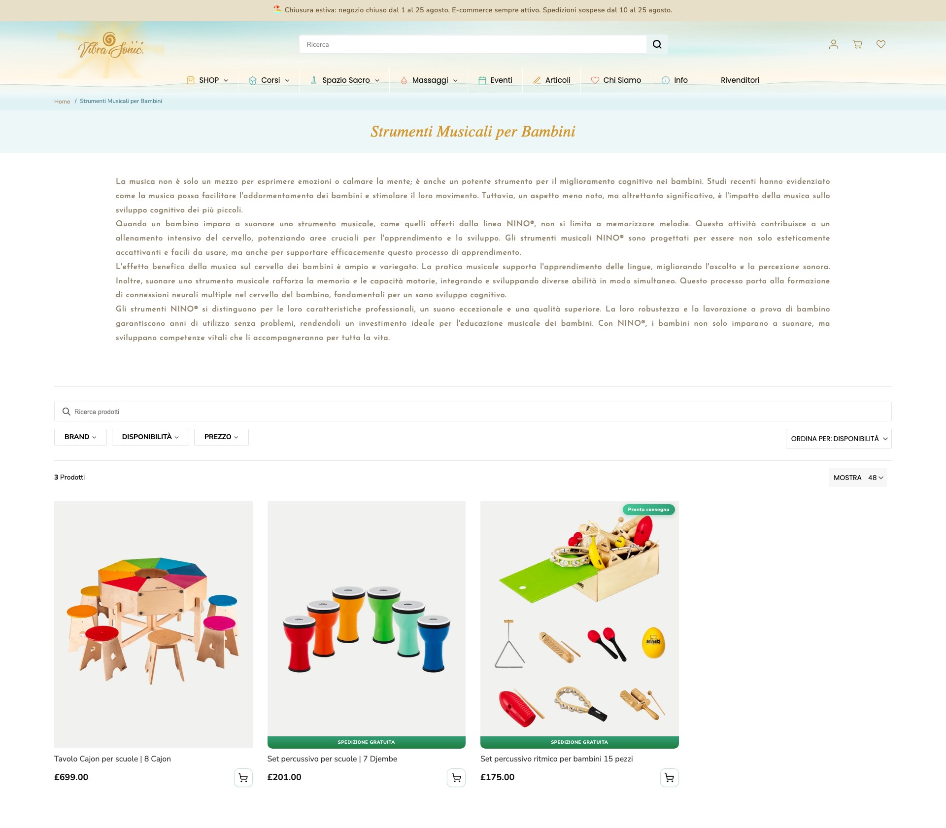 VibraSonic Music Store - image 2