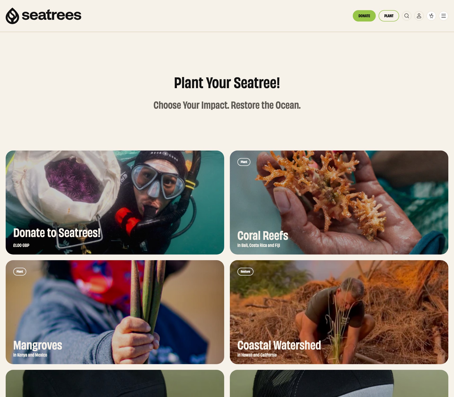 Seatrees - image 2