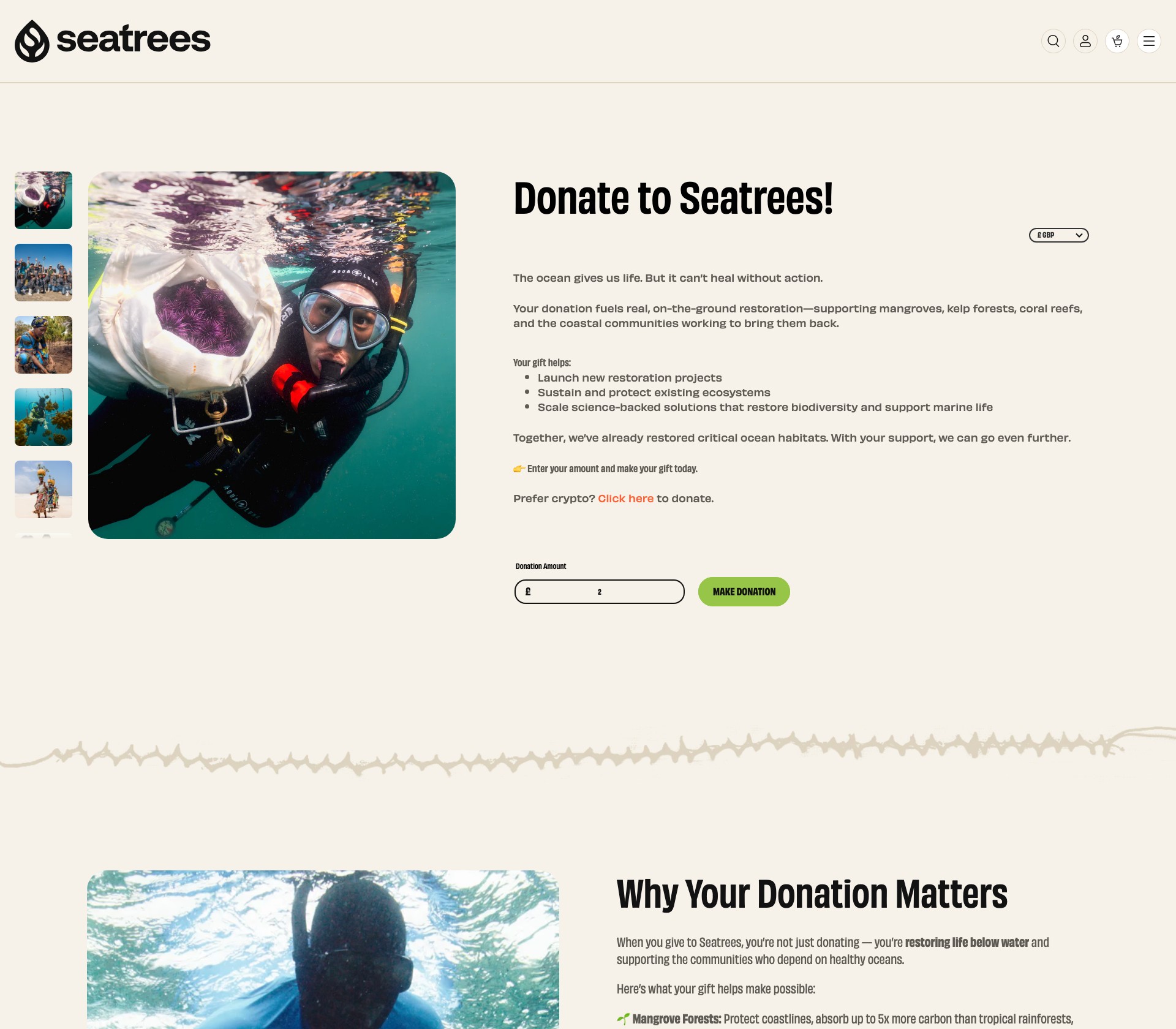 Seatrees - image 3